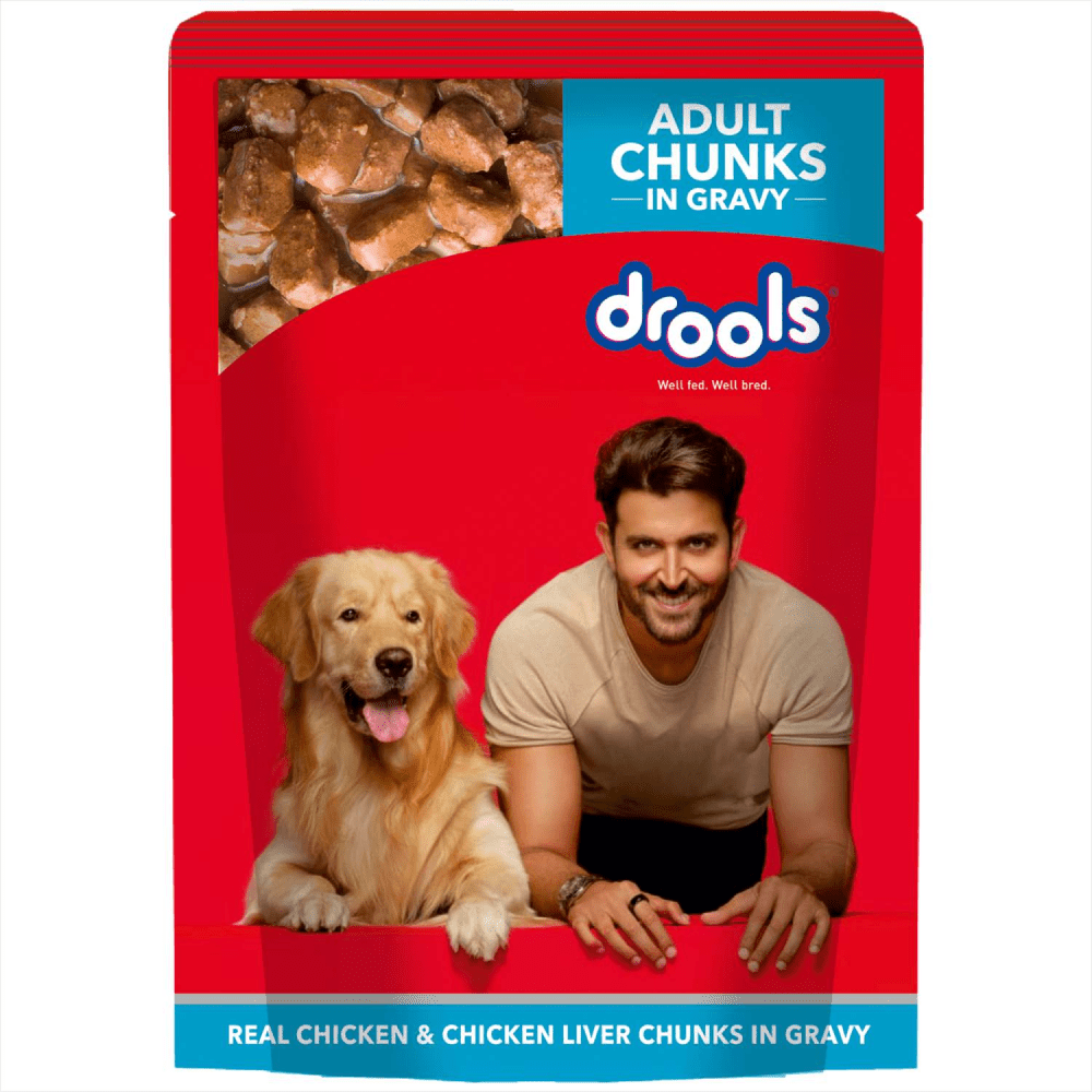 Drools Real Chicken & Chicken Liver Chunks in Gravy Adult Dog Wet Food and Dr.Dent Oral Care Stick Dog Treats Combo