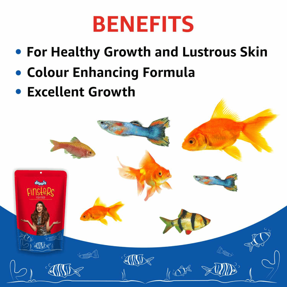 Drools Finsters Fish Food
