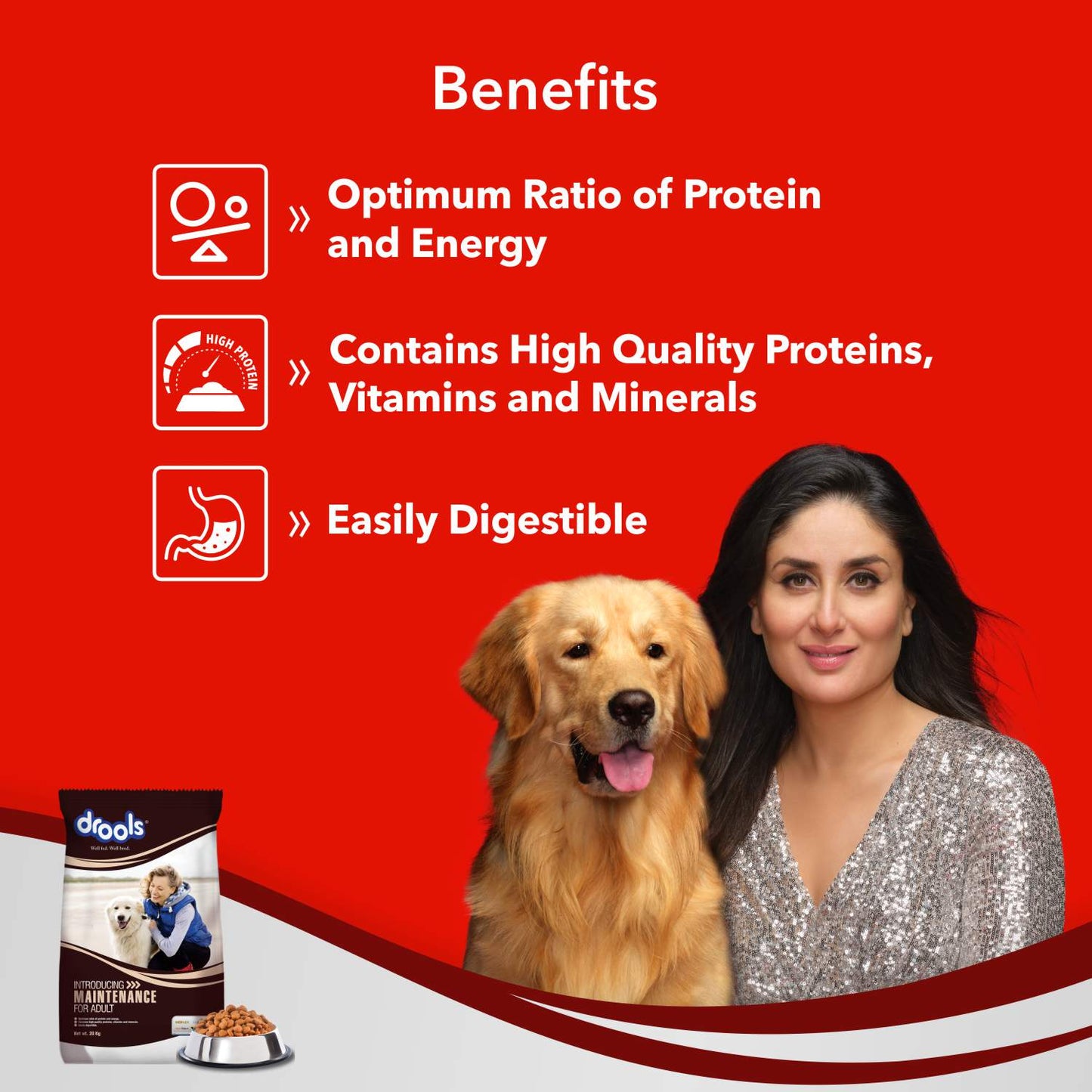 Drools Maintenance Chicken Flavor Adult Dog Dry Food