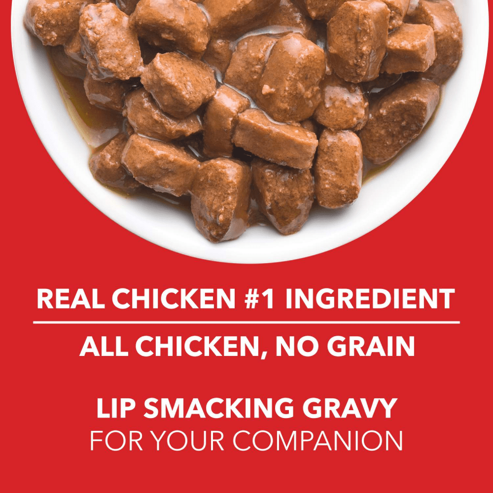 Drools Real Chicken & Chicken Liver Chunks in Gravy Adult Dog Wet Food and Dr.Dent Oral Care Stick Dog Treats Combo