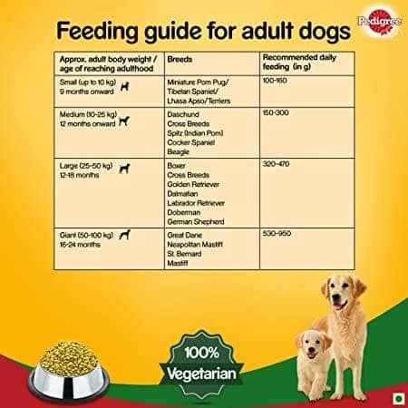 Pedigree 100% Vegetarian Dry and Chicken Chunks in Gravy Wet Puppy Dog Food Combo