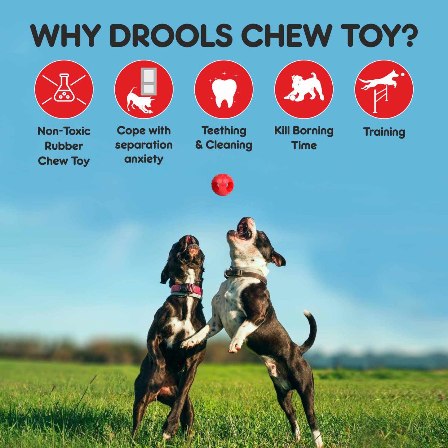 Drools Non Toxic Rubber Hole Ball Chew Teething Toy for Puppies and Dogs
