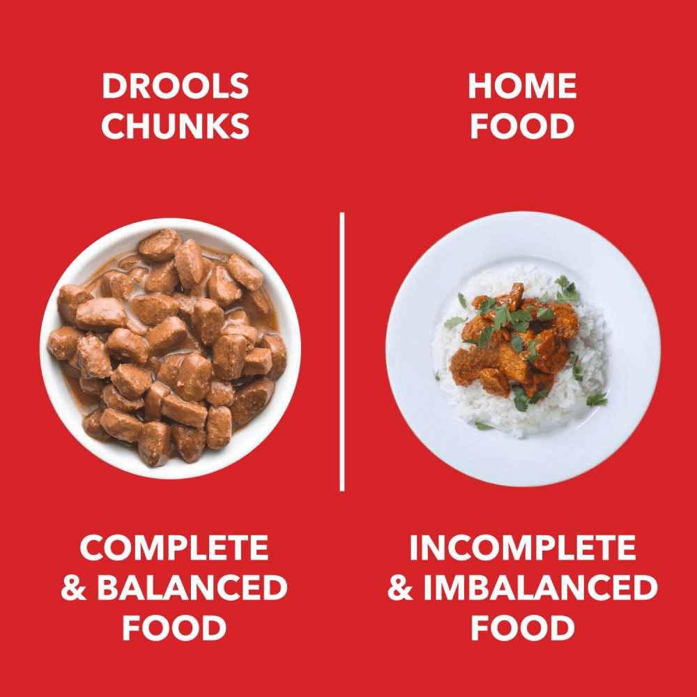 Drools Real Chicken & Chicken Liver Chunks in Gravy Adult Dog Wet Food and Dr.Dent Oral Care Stick Dog Treats Combo