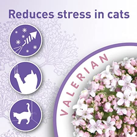 Beaphar Calming Collar for Cats