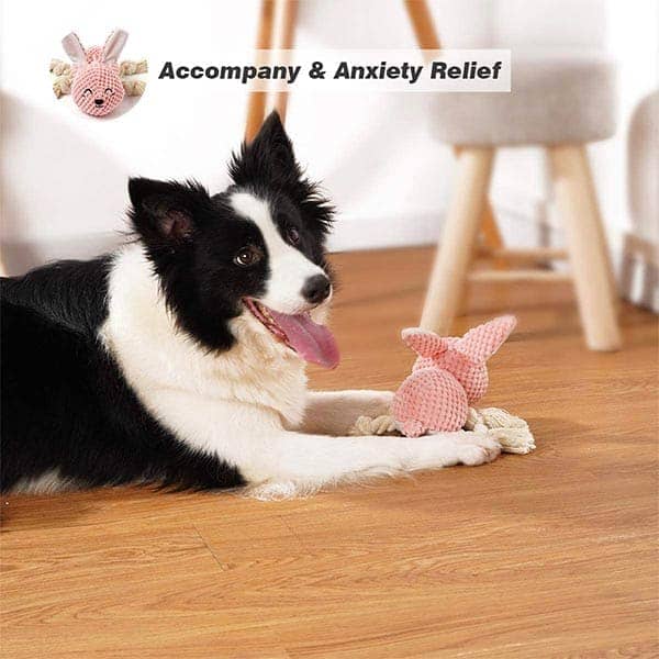 Pawsindia Sleepy Bunny Toy for Dogs