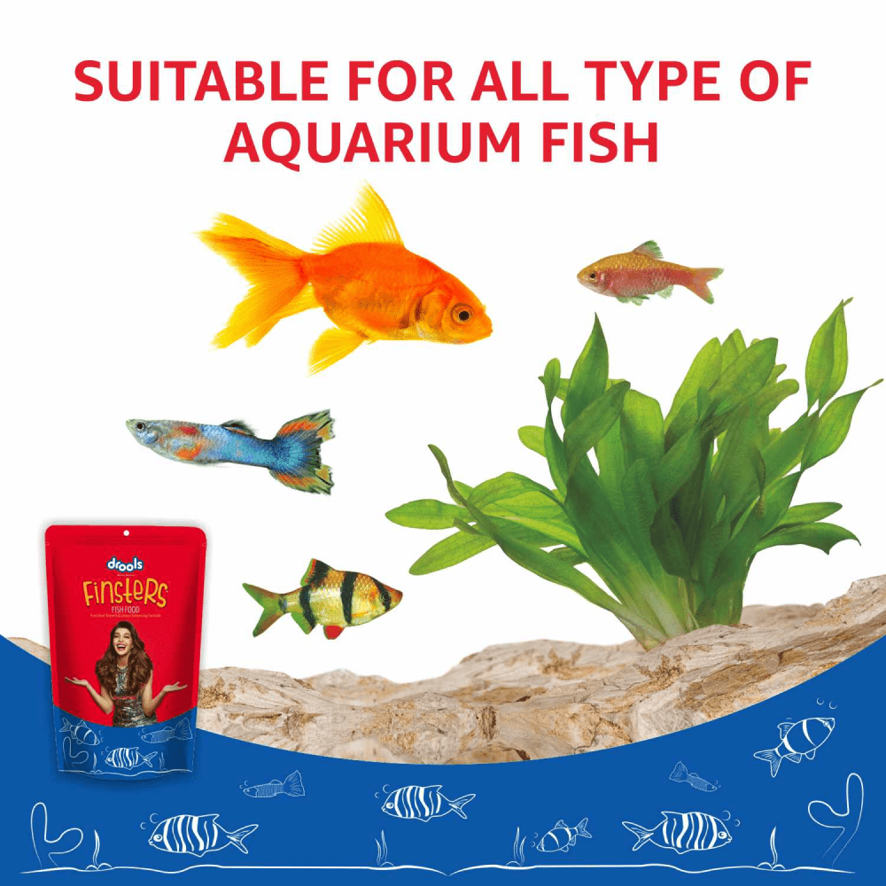 Drools Finsters Fish Food