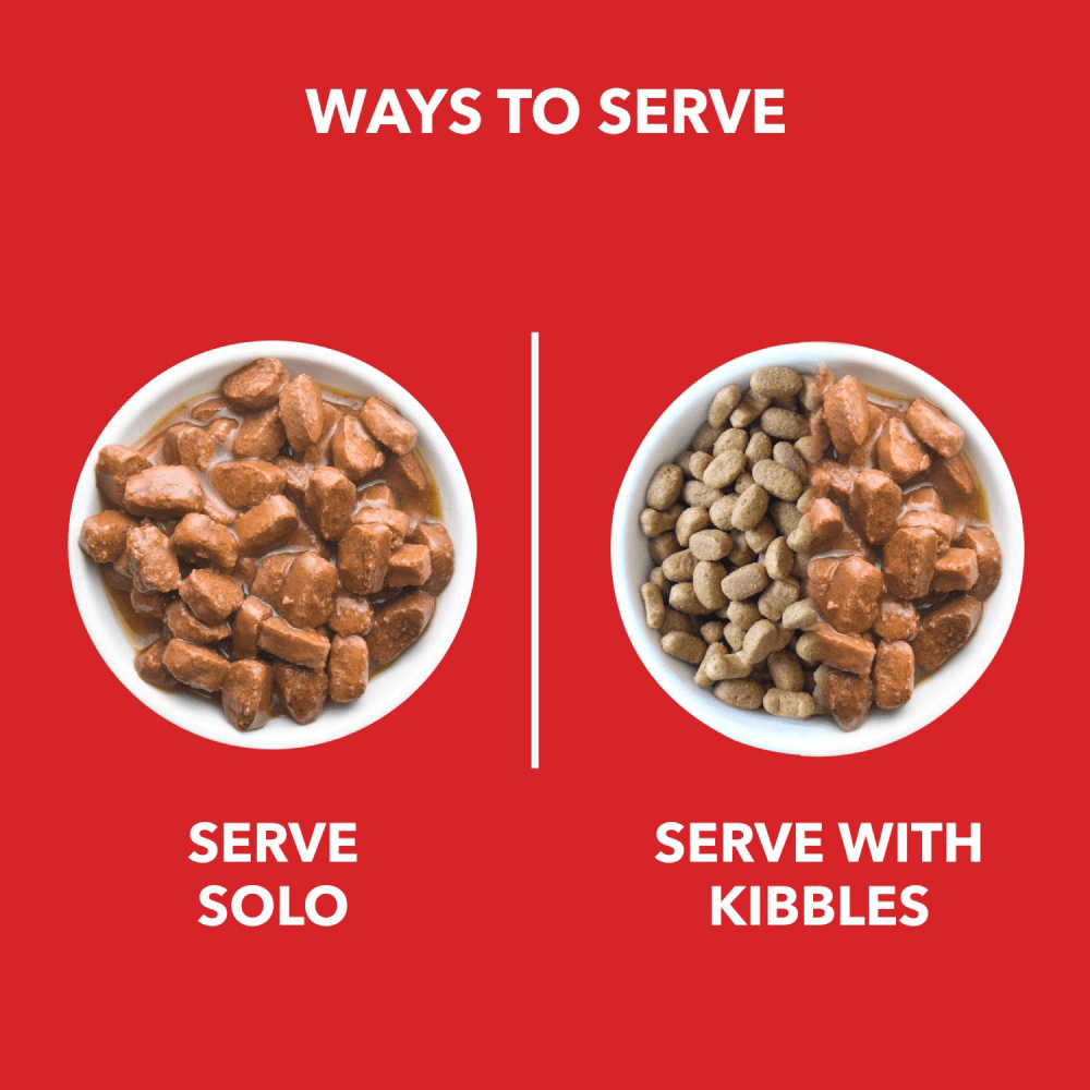 Drools Real Chicken & Chicken Liver Chunks in Gravy Adult Dog Wet Food and Dr.Dent Oral Care Stick Dog Treats Combo