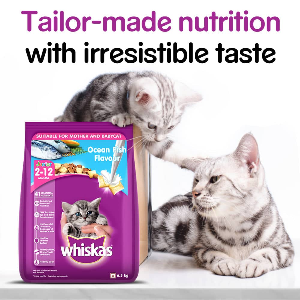 Whiskas Ocean Fish Kitten/Mother and Baby Cat Dry Food