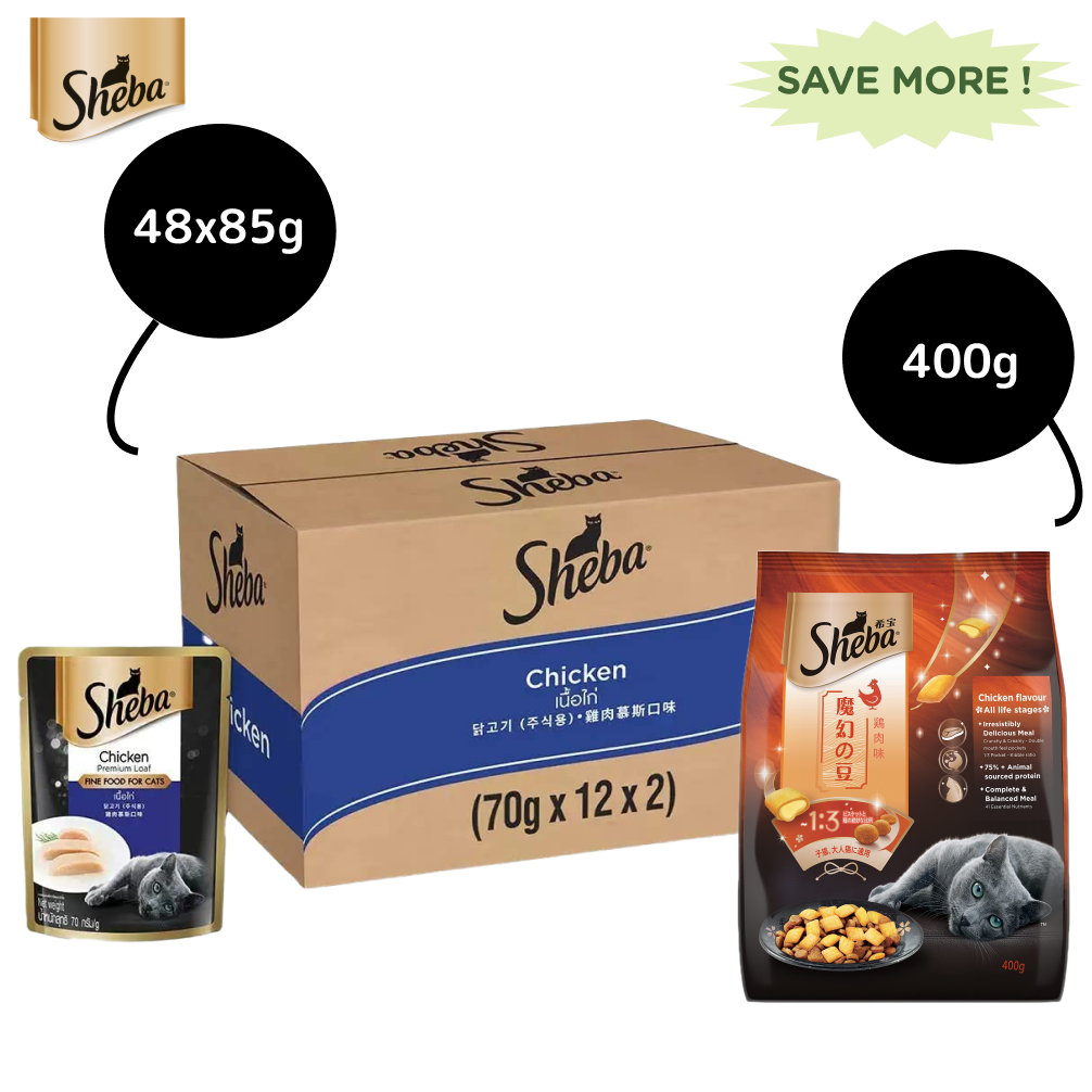 Sheba Chicken Loaf Rich Premium Adult Fine Wet Food and Chicken All Life Stage Cat Dry Food Combo