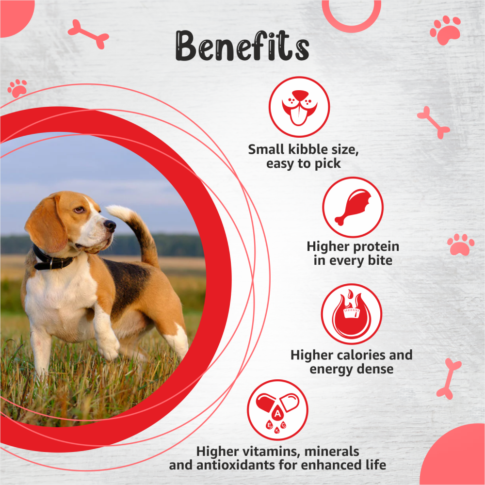 Drools Premium Small Breed Adult Dog Dry Food