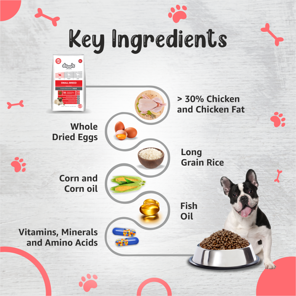 Drools Premium Small Breed Adult Dog Dry Food