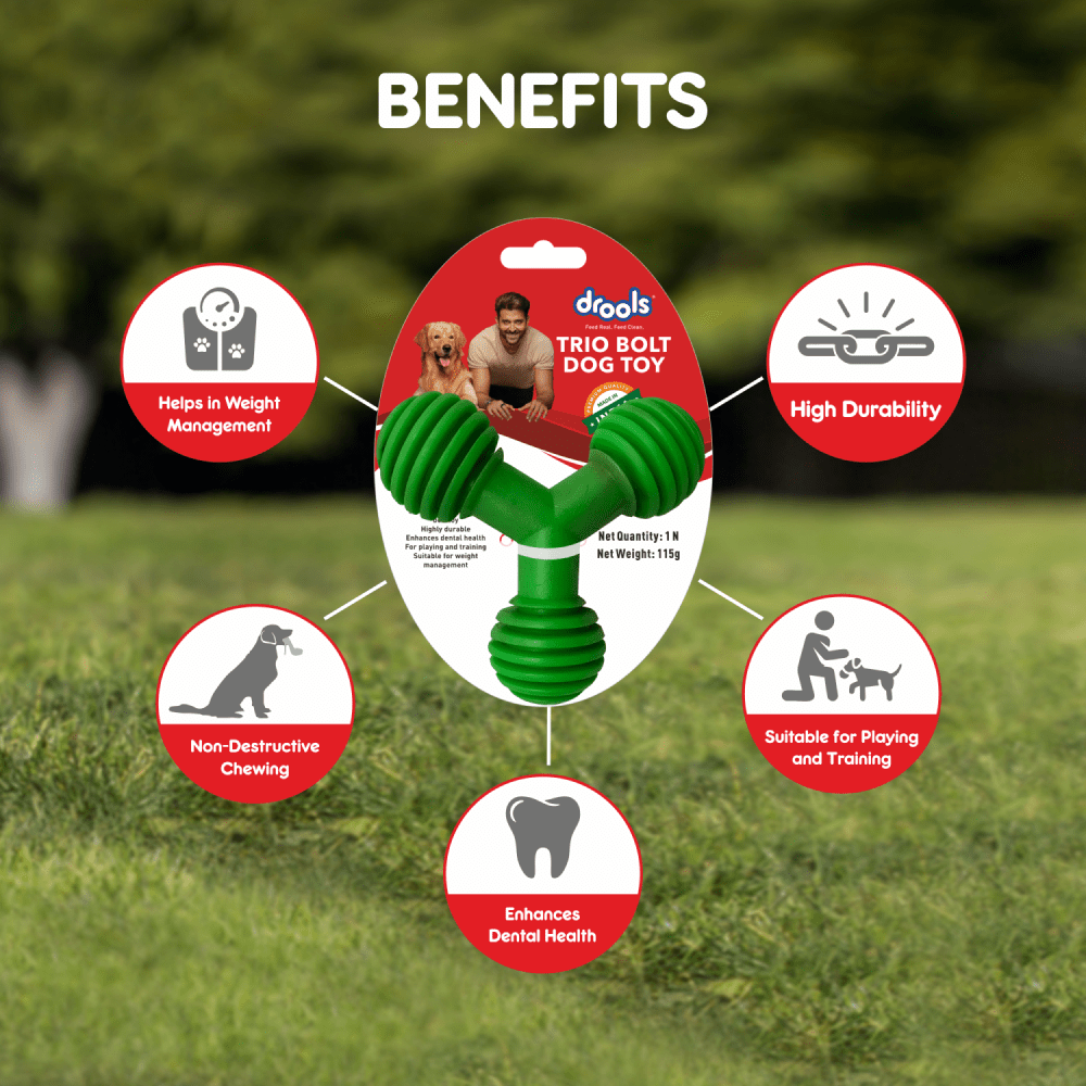 Drools Non Toxic Rubber Trio Bolt Toy for Dogs