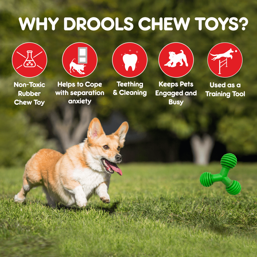 Drools Non Toxic Rubber Trio Bolt Toy for Dogs