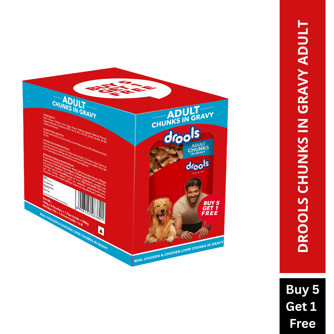 Drools Real Chicken & Chicken Liver Chunks in Gravy Adult Dog Wet Food