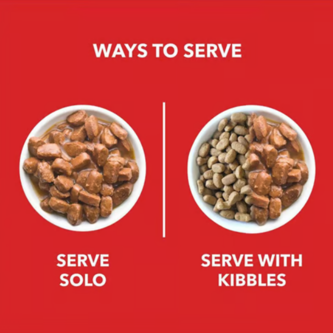 Drools Real Chicken & Chicken Liver Chunks in Gravy Adult Dog Wet Food