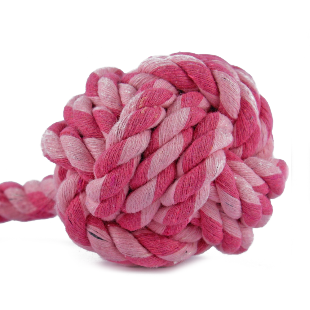 Trixie Playing Rope Loop with Woven in Ball Toy for Dogs (Pink)