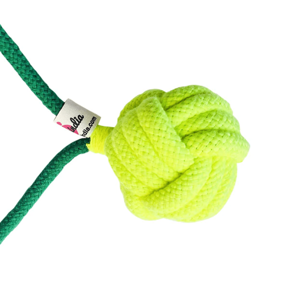 Pawsindia Tug of War Rope Toy for Dogs (Green)
