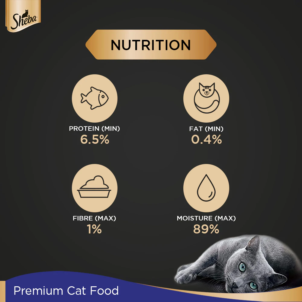 Sheba Chicken Loaf Rich Premium Adult Fine Wet Food and Chicken All Life Stage Cat Dry Food Combo