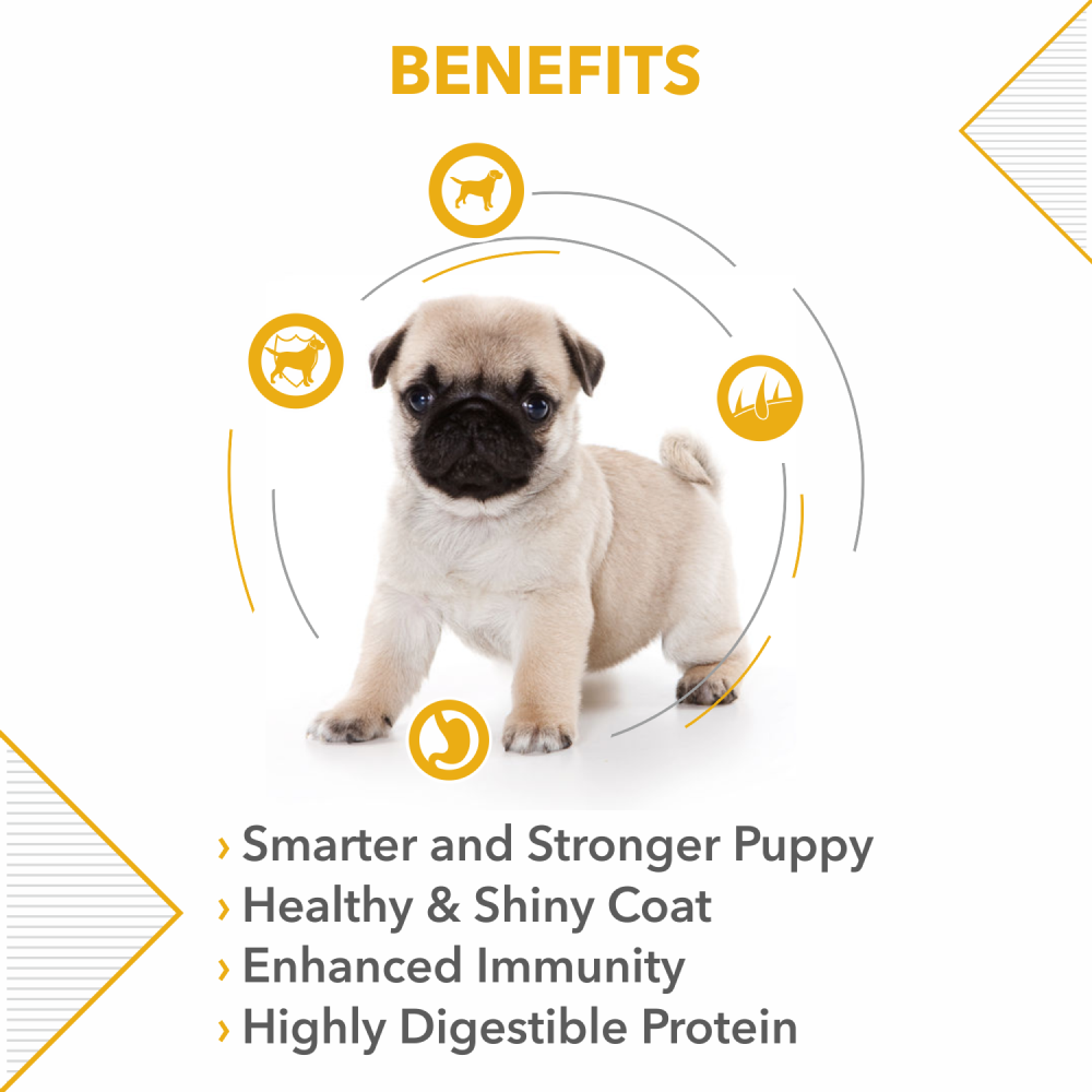 Drools Pug Puppy Premium Dry Food