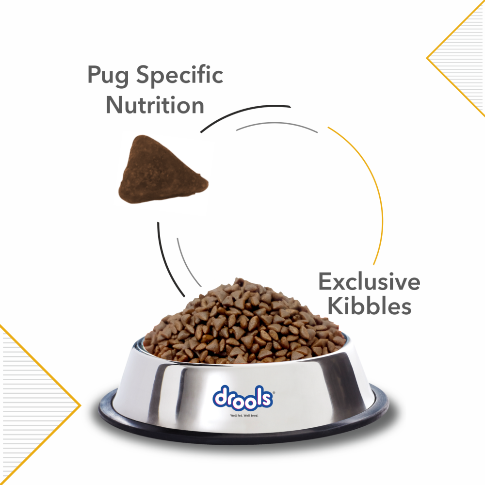 Drools Pug Puppy Premium Dry Food