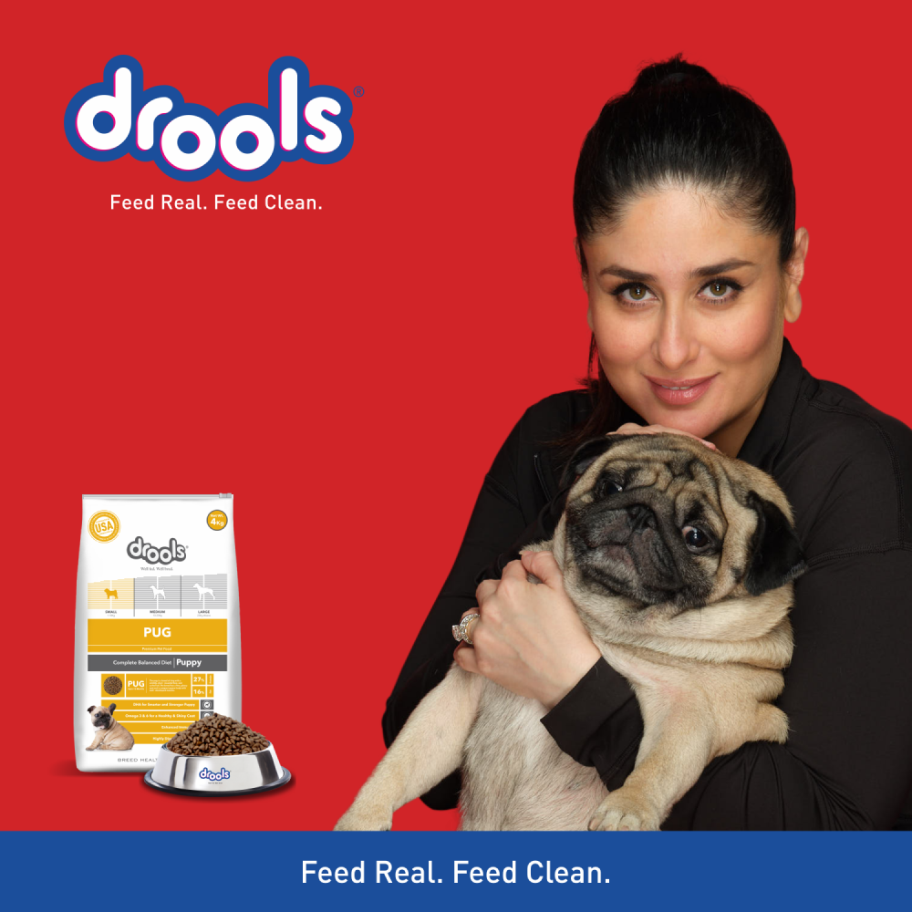 Drools Pug Puppy Premium Dry Food