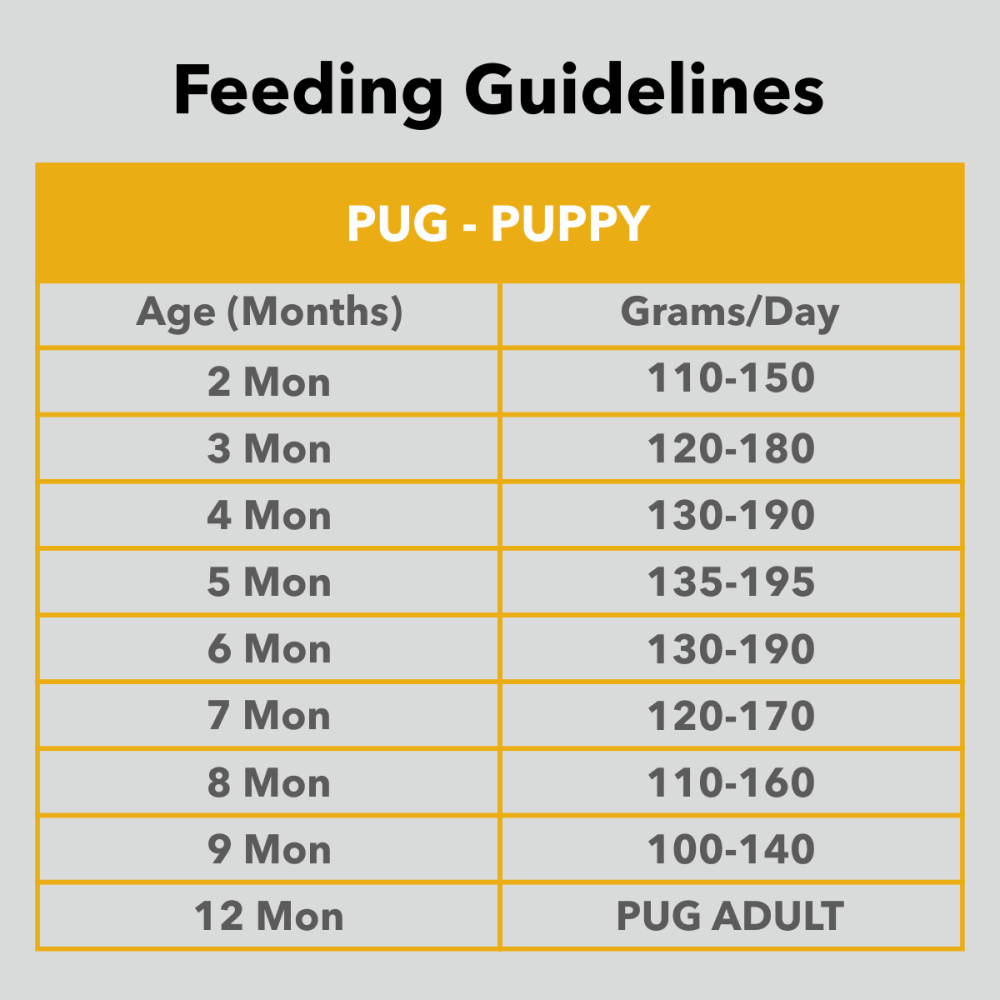 Drools Pug Puppy Premium Dry Food
