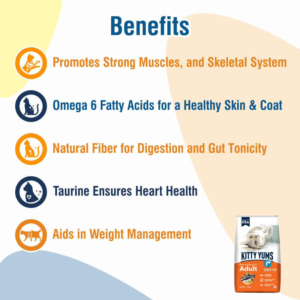 Kitty Yums Ocean Fish Adult (1+ years) Cat Dry Food