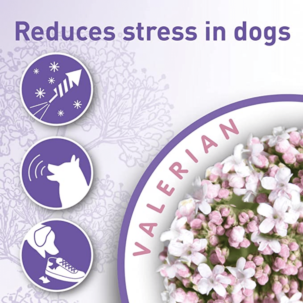 Beaphar Calming Collar for Dogs