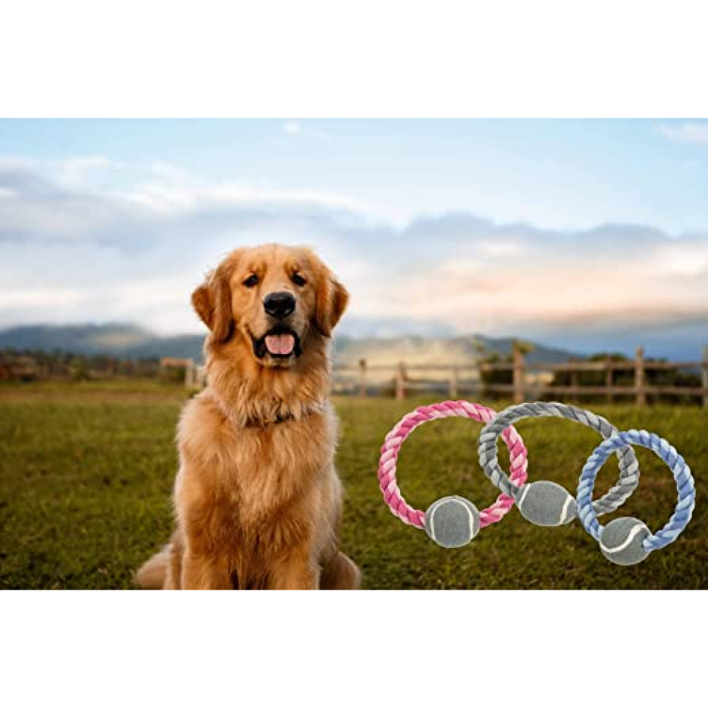 Trixie Rope Ring with Tennis Ball Toy for Dogs