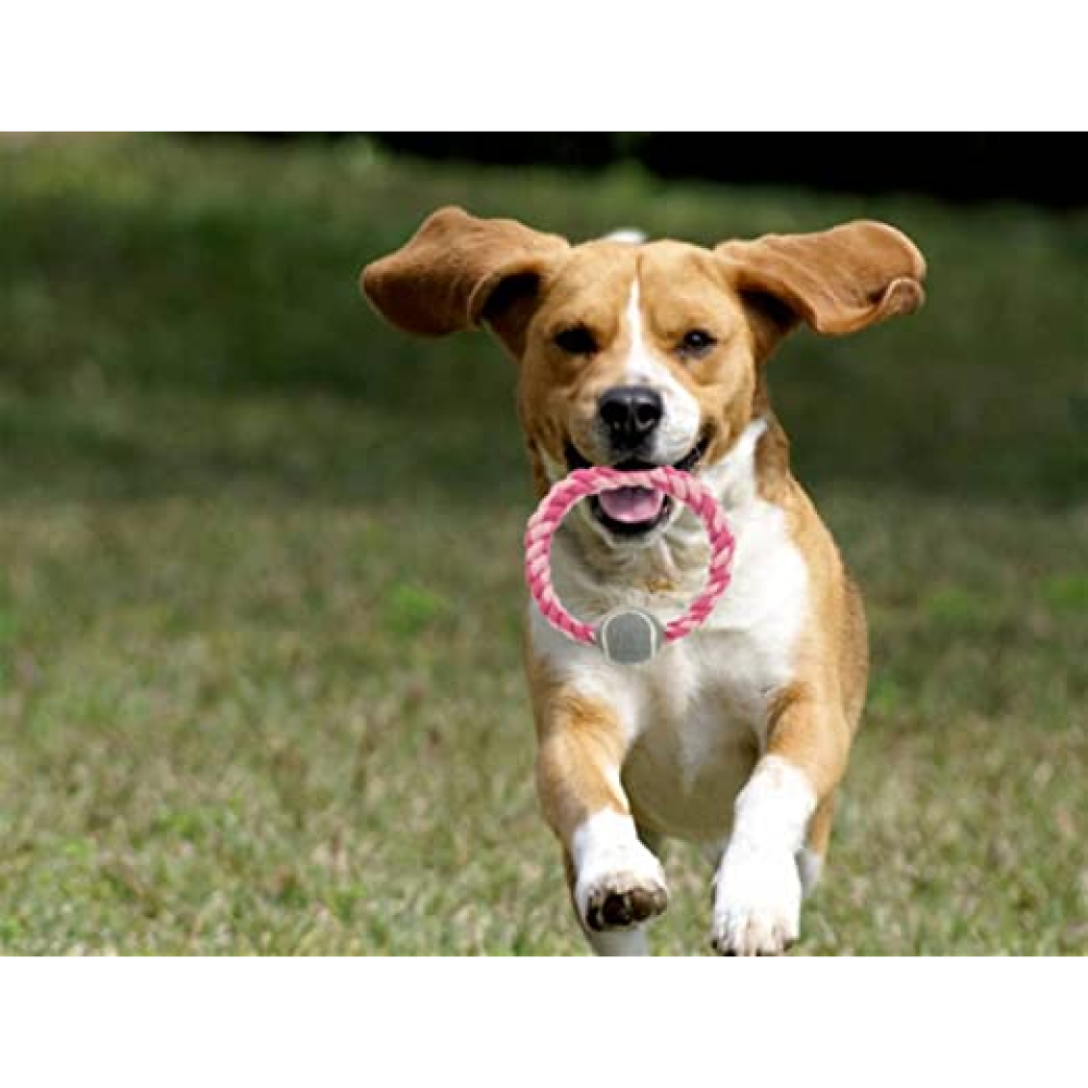 Trixie Rope Ring with Tennis Ball Toy for Dogs