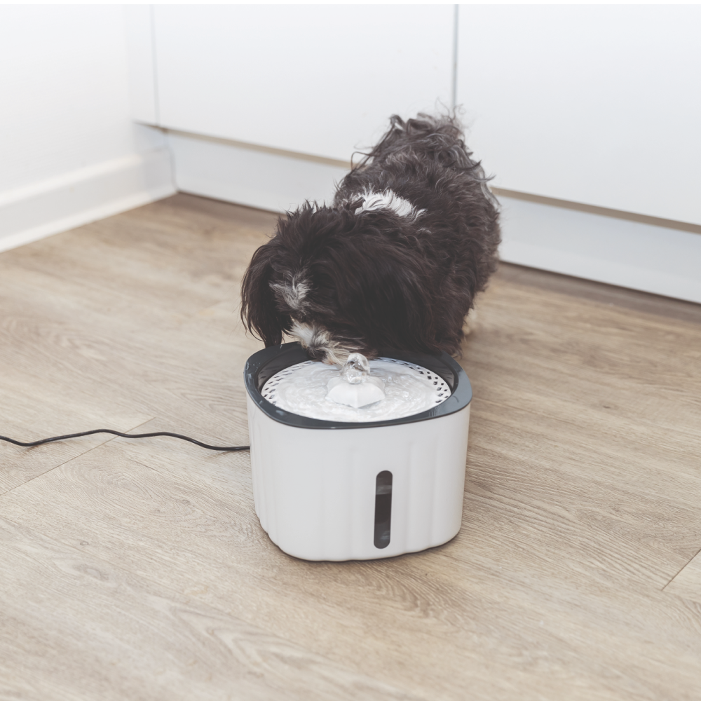 Trixie Water Drinking Fountain Flower for Dogs and Cats (White and Grey)