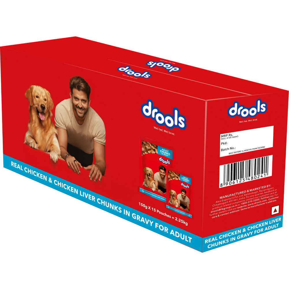 Drools Real Chicken & Chicken Liver Chunks in Gravy Adult Dog Wet Food and Dr.Dent Oral Care Stick Dog Treats Combo