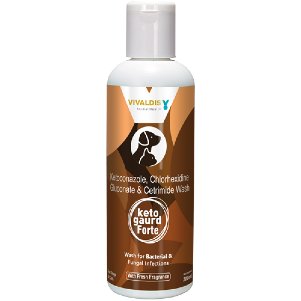 Vivaldis Viv Keto Forte Shampoo (200ml)