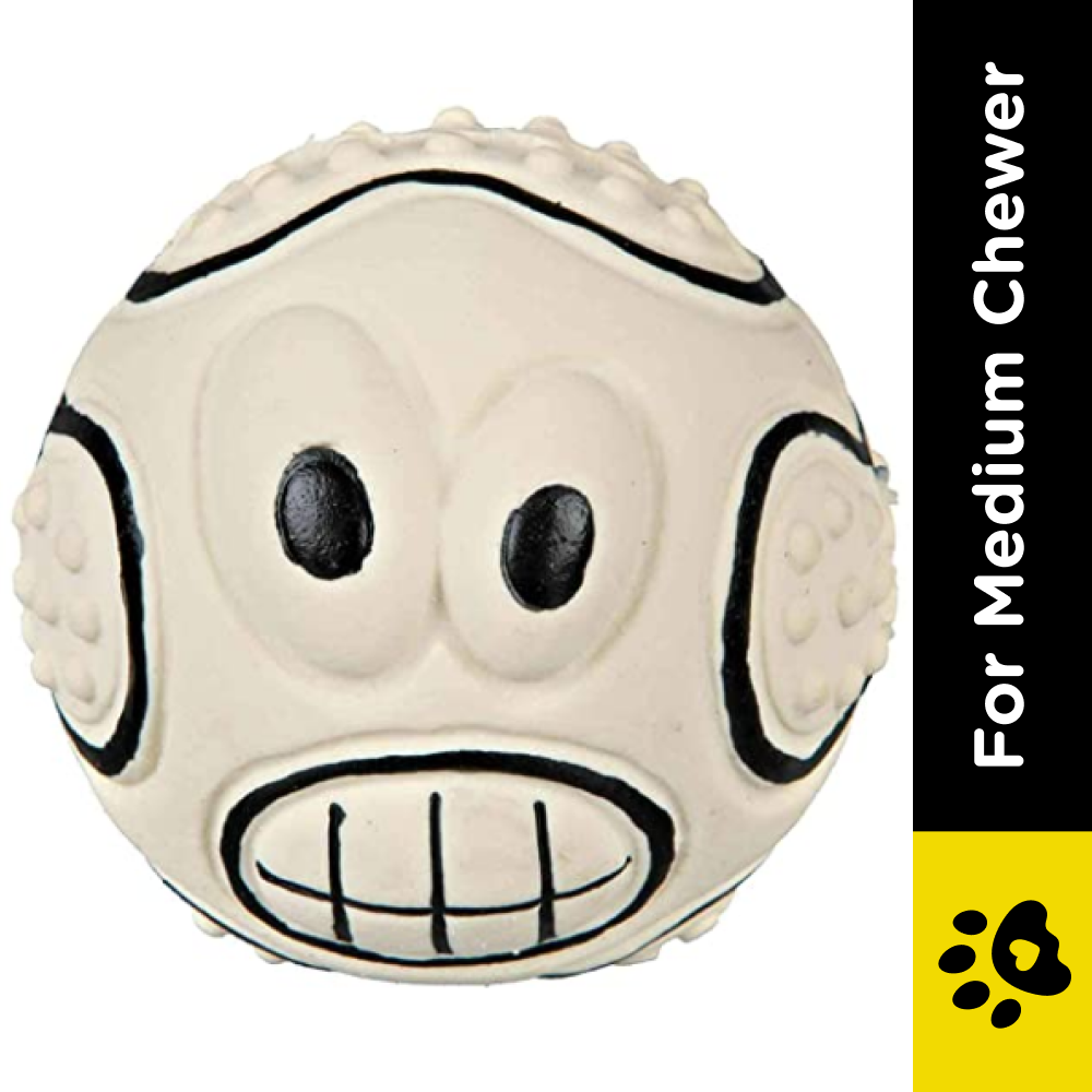 Trixie Sport Ball with Motif Latex Toy for Dogs (Assorted)