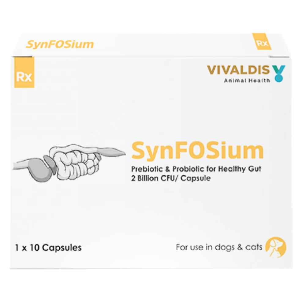 Vivaldis Synfosium Capsule (10 tablets)