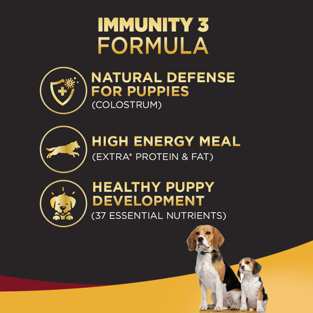 Pedigree PRO Expert Nutrition Lactating/Pregnant Mother & Puppy Starter Small Breed Dry and Chicken Chunks in Gravy Puppy Wet Food Combo