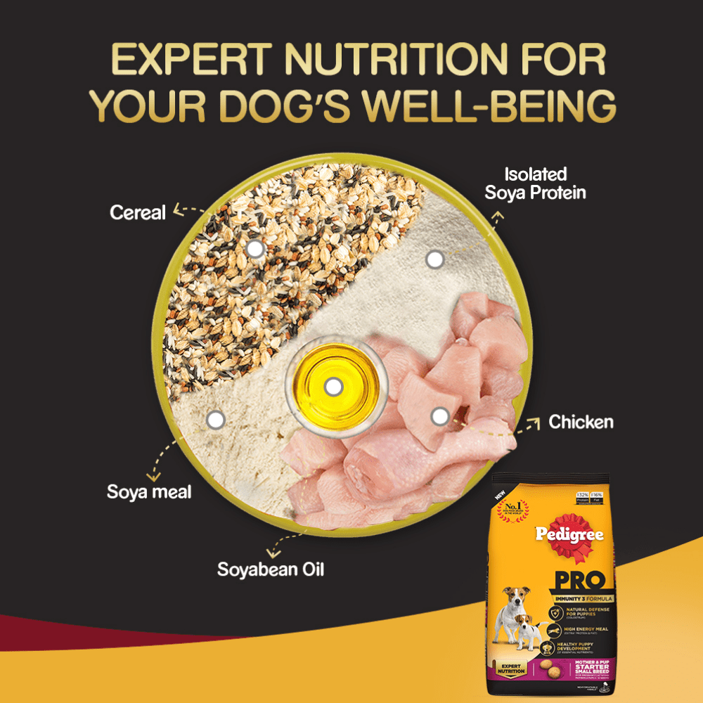 Pedigree PRO Expert Nutrition Lactating/Pregnant Mother & Puppy Starter Small Breed Dry and Chicken Chunks in Gravy Puppy Wet Food Combo