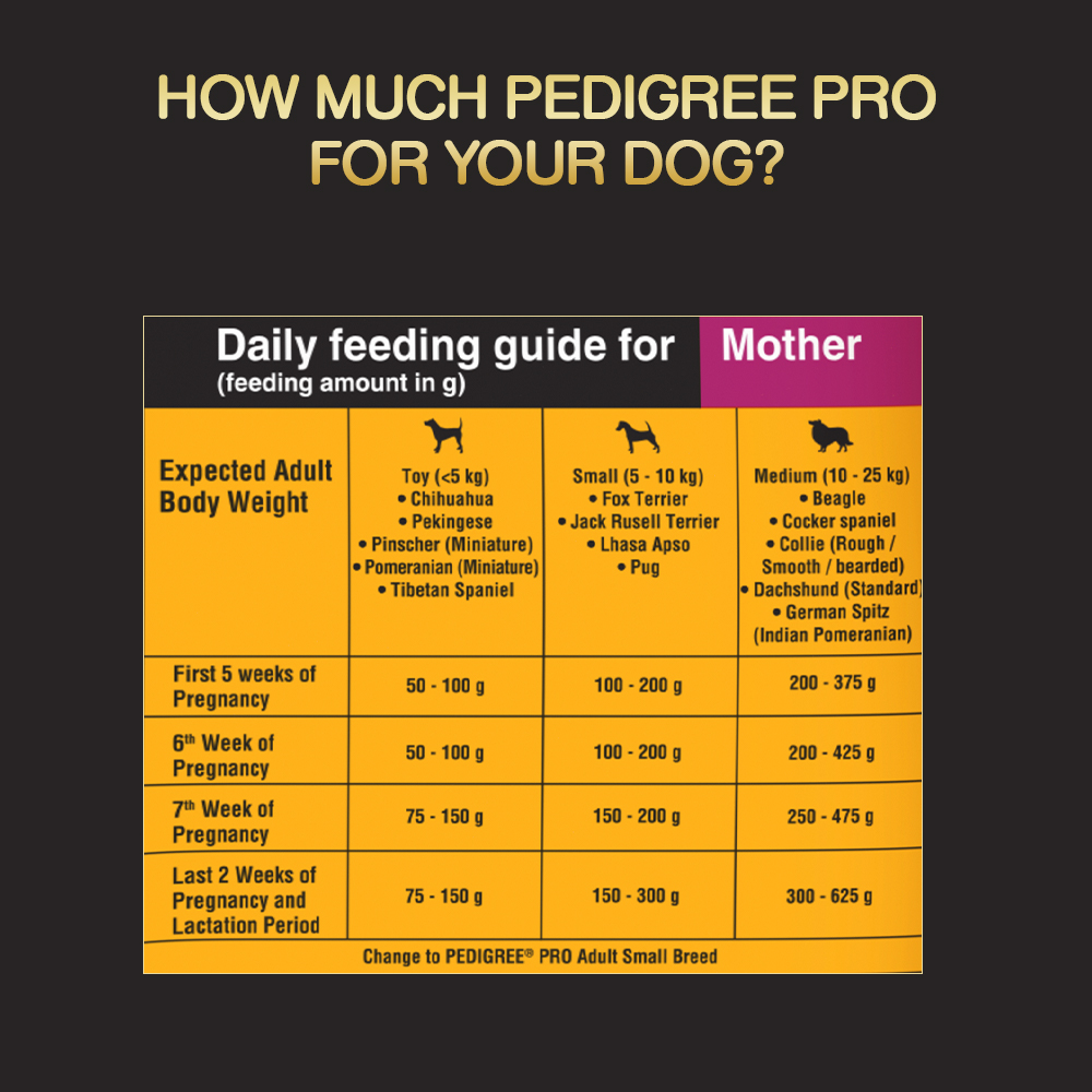 Pedigree PRO Expert Nutrition Lactating/Pregnant Mother & Puppy Starter Small Breed Dry and Chicken Chunks in Gravy Puppy Wet Food Combo