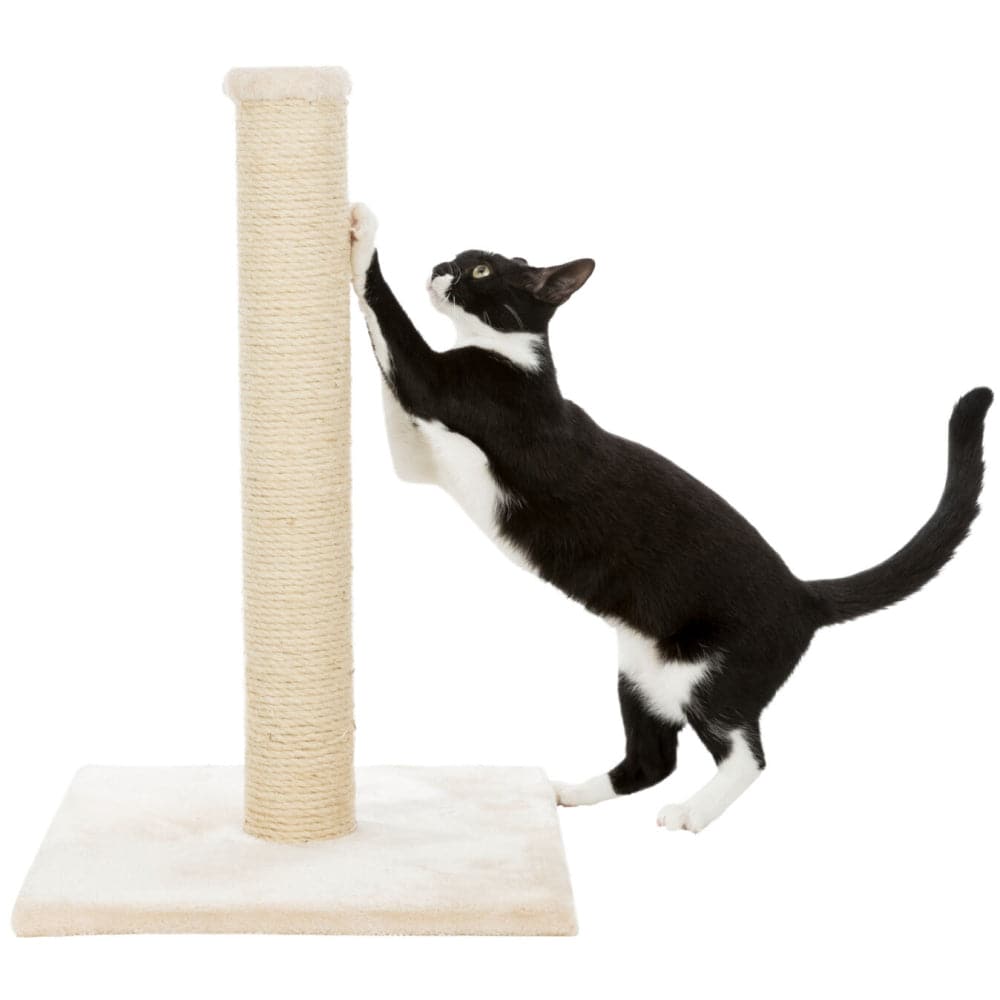 Trixie Parla Scratching Post for Cats (Beige)