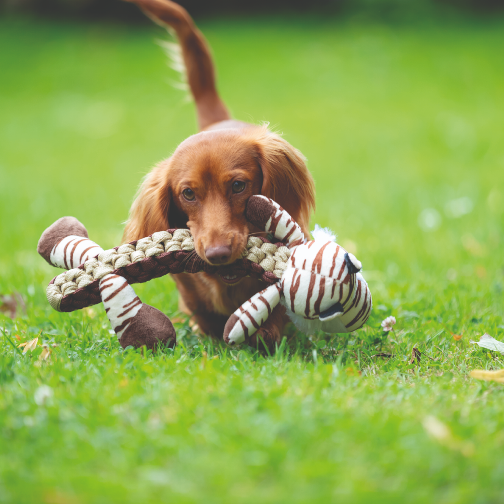 Trixie Tiger Toy for Dogs