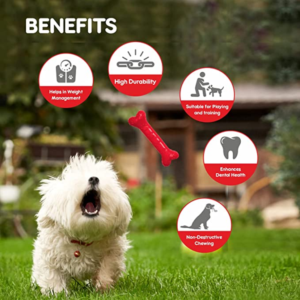 Drools Non Toxic Rubber Chew Bone Teething Toy for Puppies and Dogs