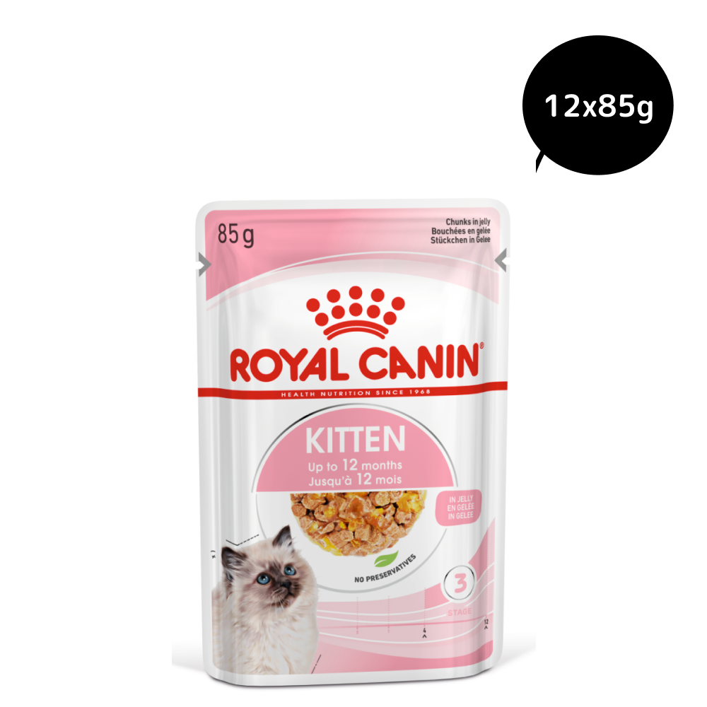 Royal Canin Kitten Jelly Cat Wet Food