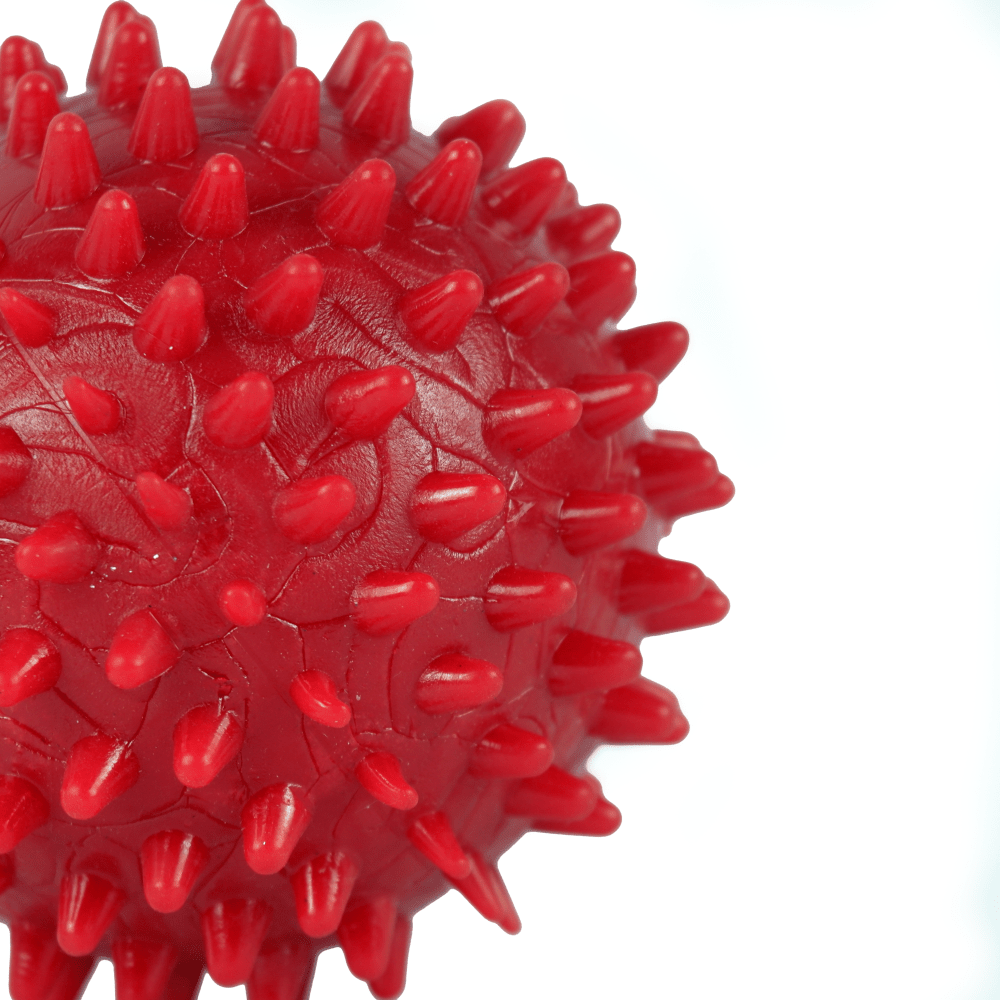 Drools Non Toxic Rubber Stud Spike Hard Ball Chew Teething Toy for Puppies and Dogs