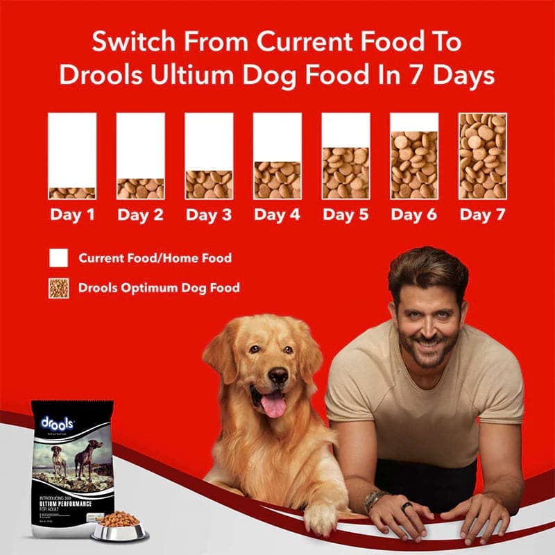 Drools Ultium Performance Adult Dog Dry Food