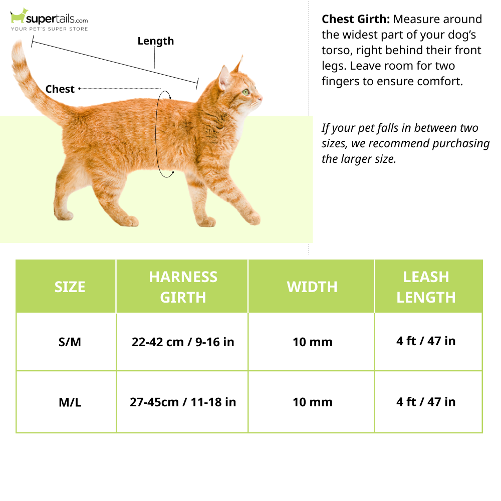 Trixie Harness with Leash for Cats & Kittens (Assorted)