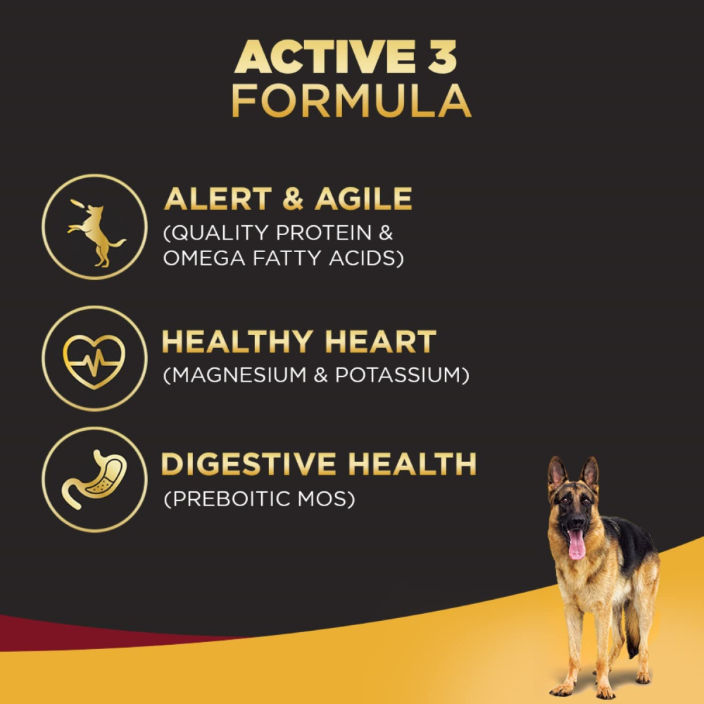 Pedigree PRO Expert Nutrition Active Large Breed Dry and Chicken and Liver Chunks in Gravy Adult Wet Dog Food Combo