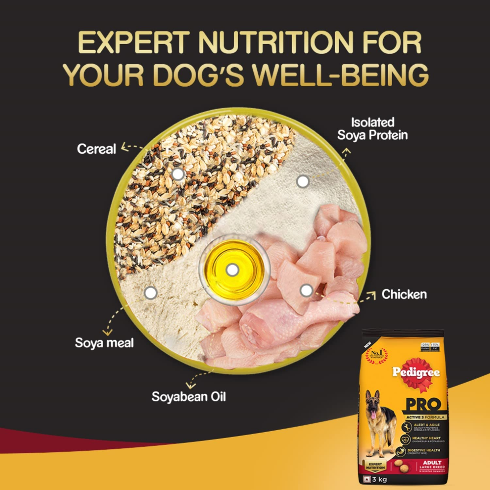 Pedigree PRO Expert Nutrition Active Large Breed Dry and Chicken and Liver Chunks in Gravy Adult Wet Dog Food Combo