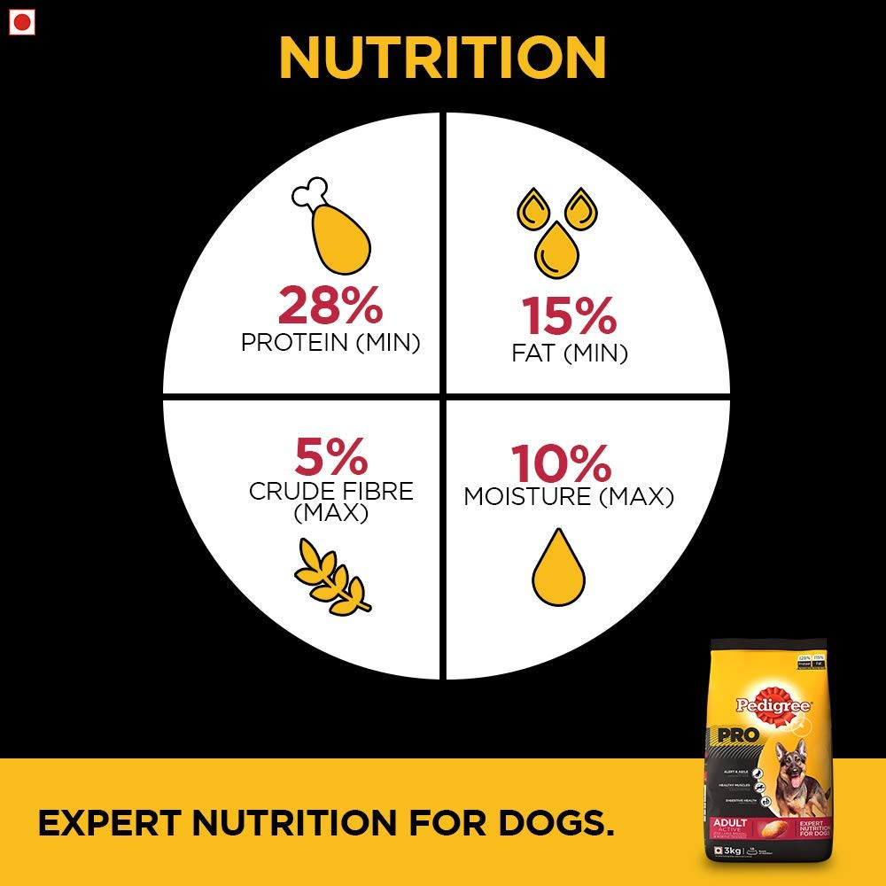 Pedigree PRO Expert Nutrition Active Large Breed Dry and Chicken and Liver Chunks in Gravy Adult Wet Dog Food Combo
