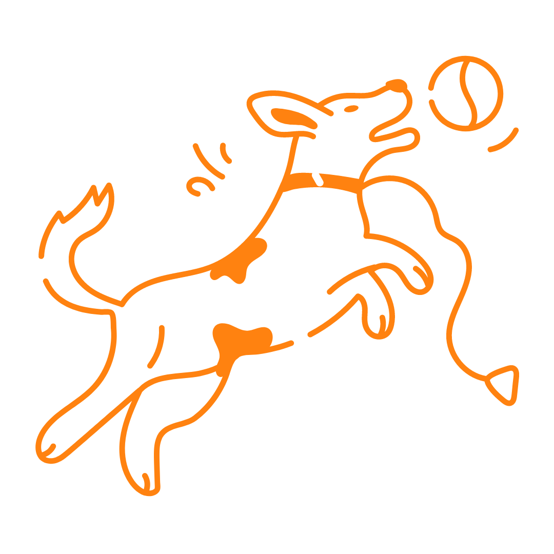 Dog training and Behavioral