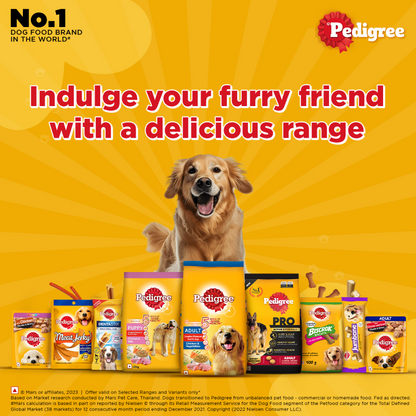 Pedigree Chicken and Vegetables Adult Dry Dog Food